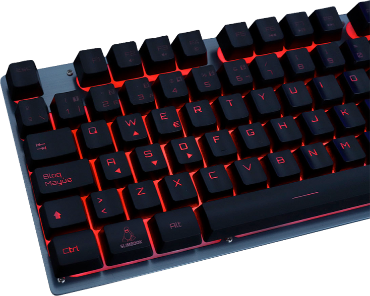 Odoo • Texto e imagen