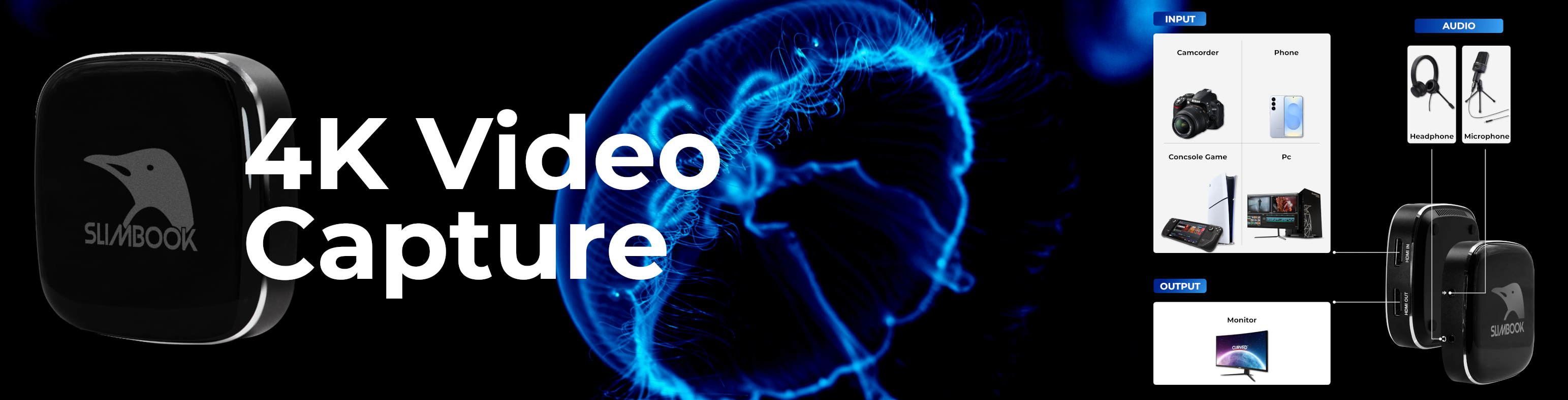 Odoo • Texto e imagen