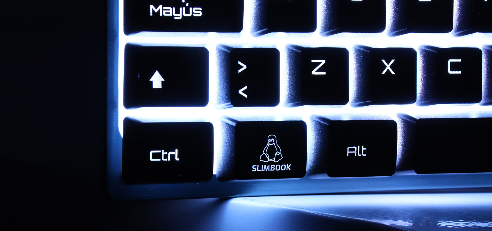 Imagen de la diapositiva