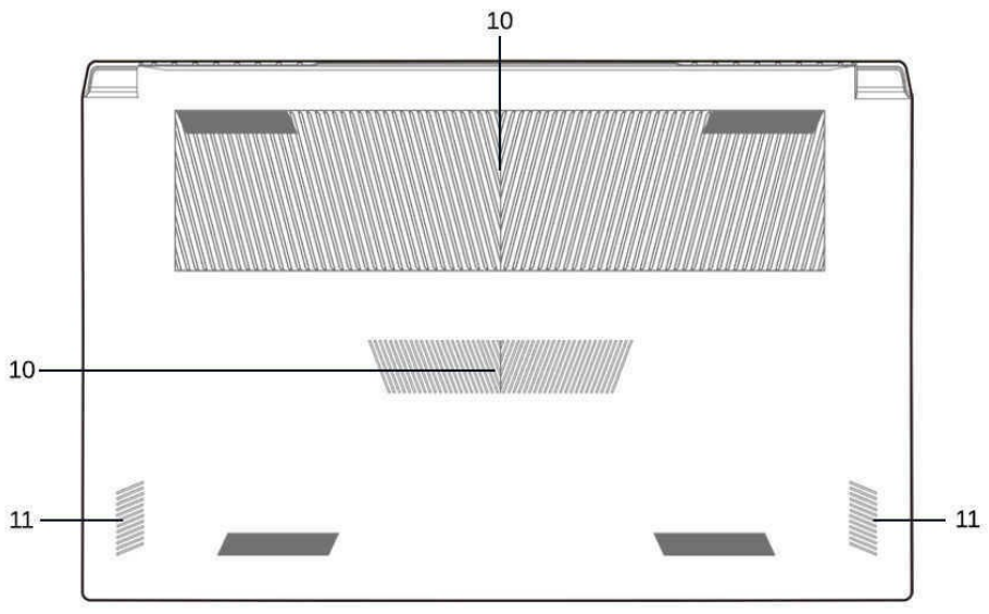 Odoo • Imagen y texto