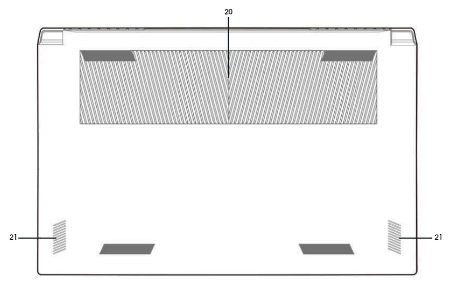 Odoo • Imagen y texto