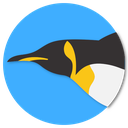 Insignia de rango