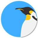 Insignia de rango
