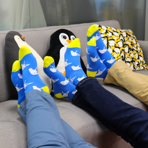 Calcetines Slimbook